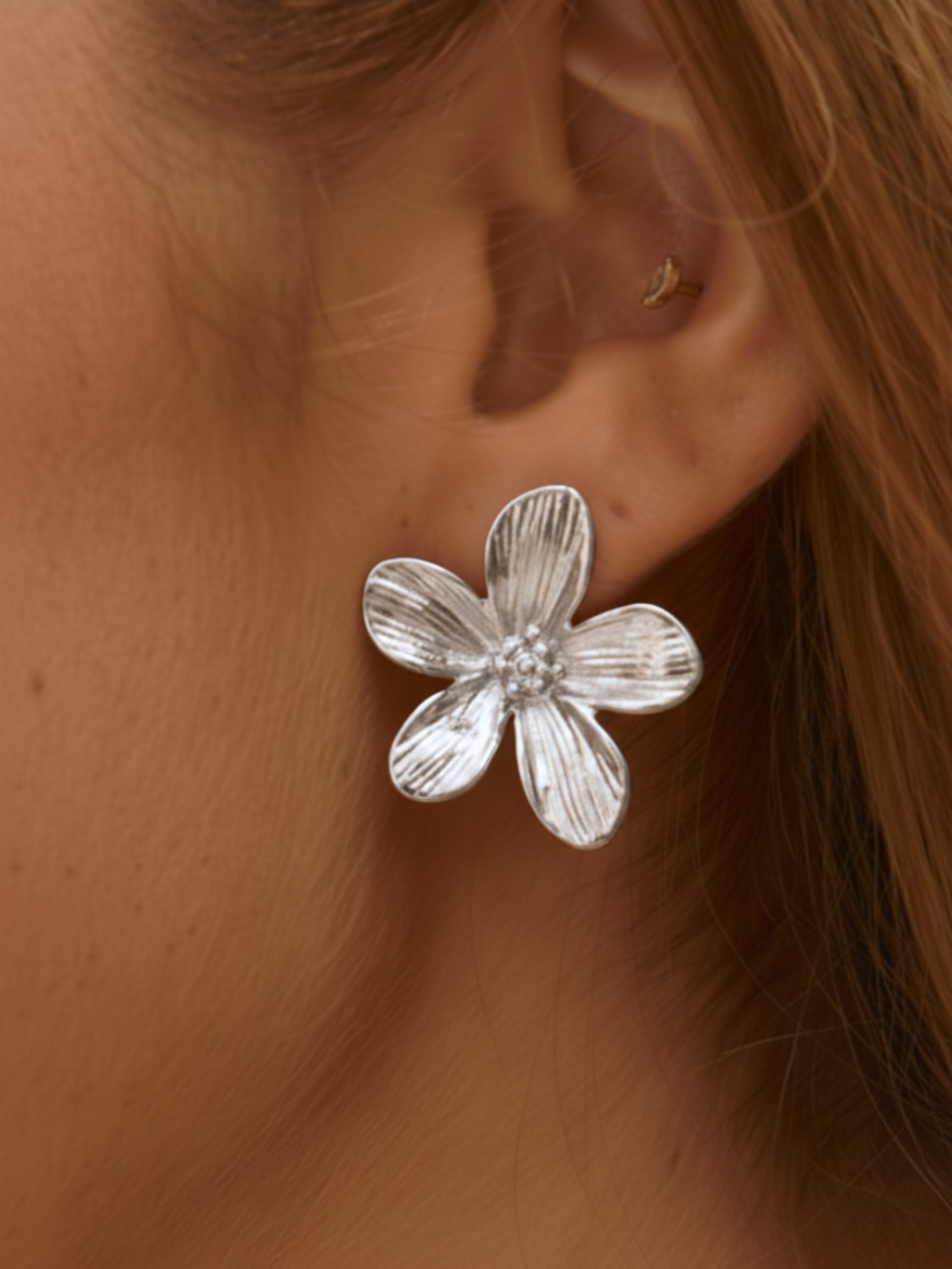 זוג עגילי איזבל כסף