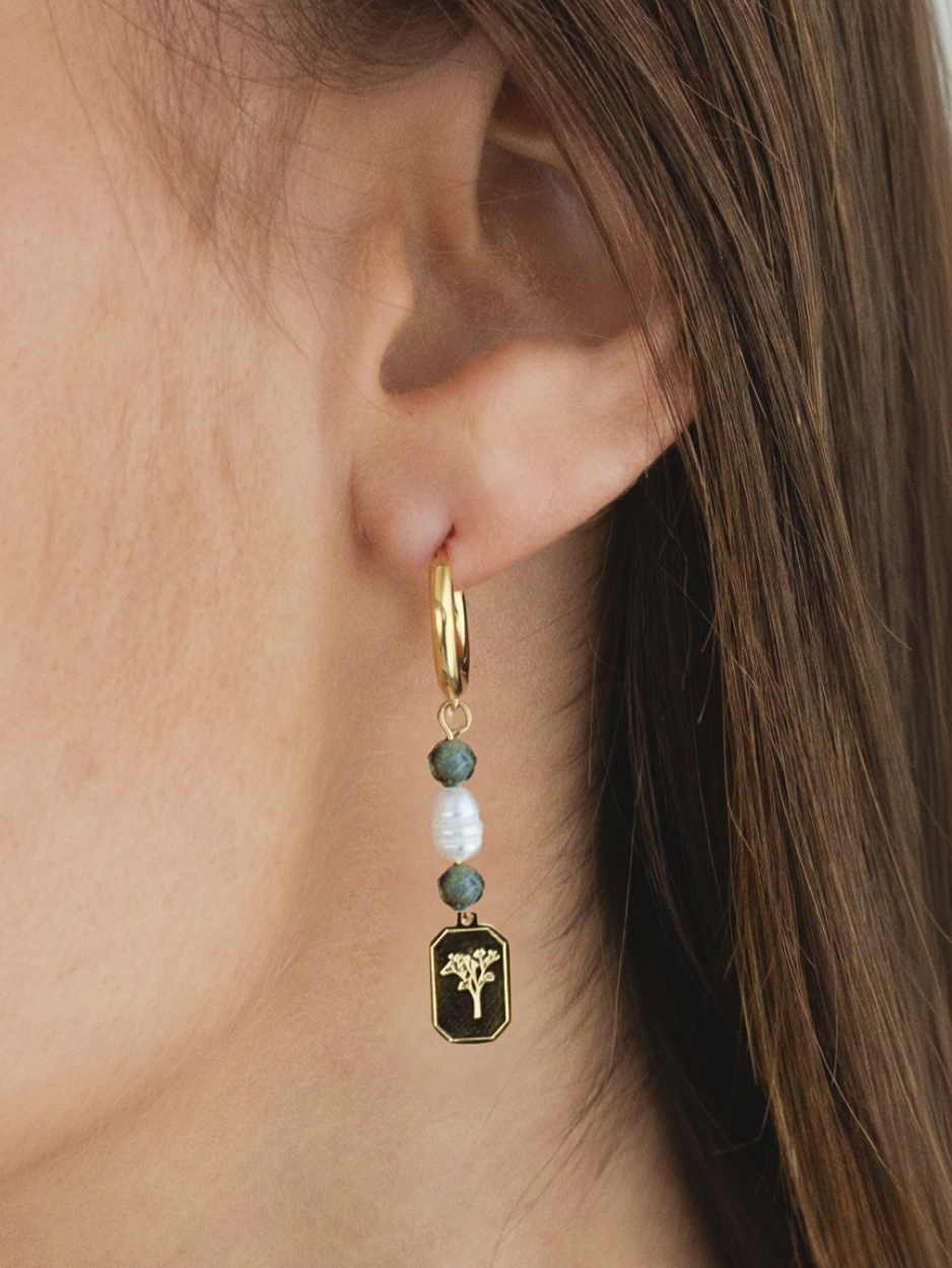 זוג עגילי כלנית זהב