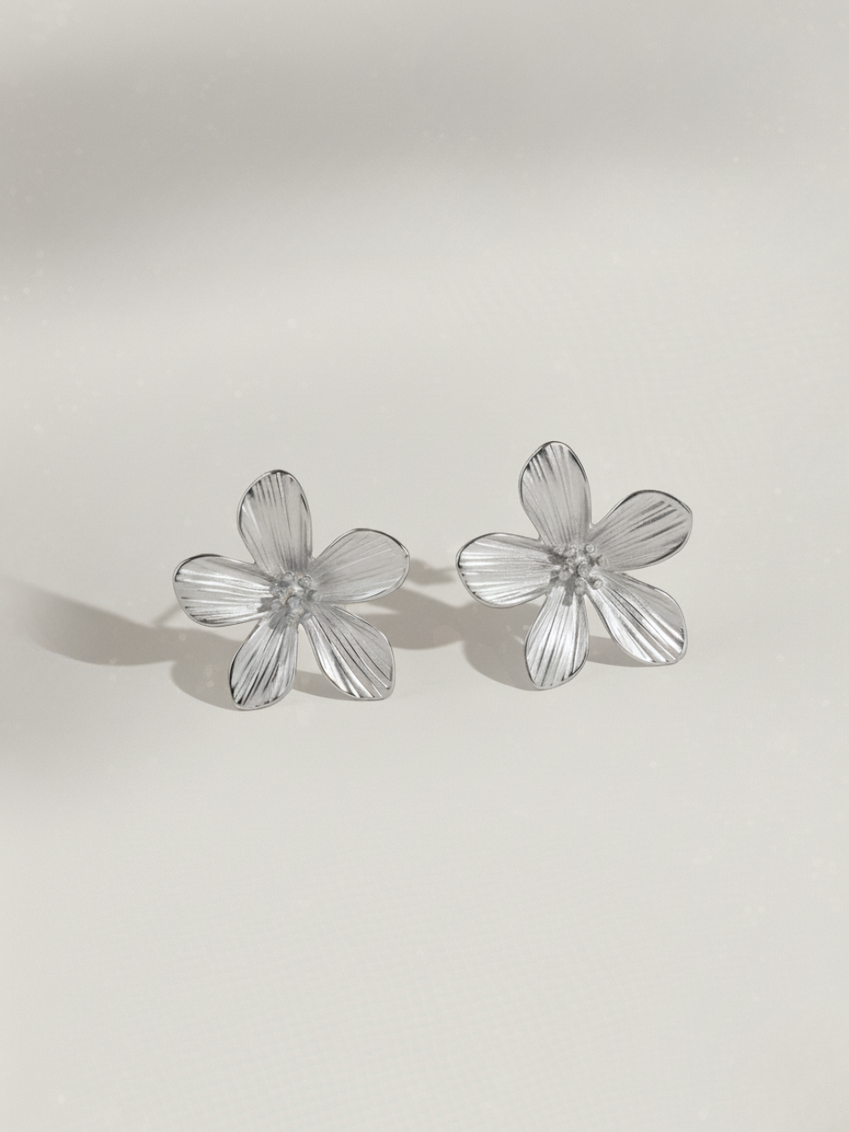 זוג עגילי איזבל כסף