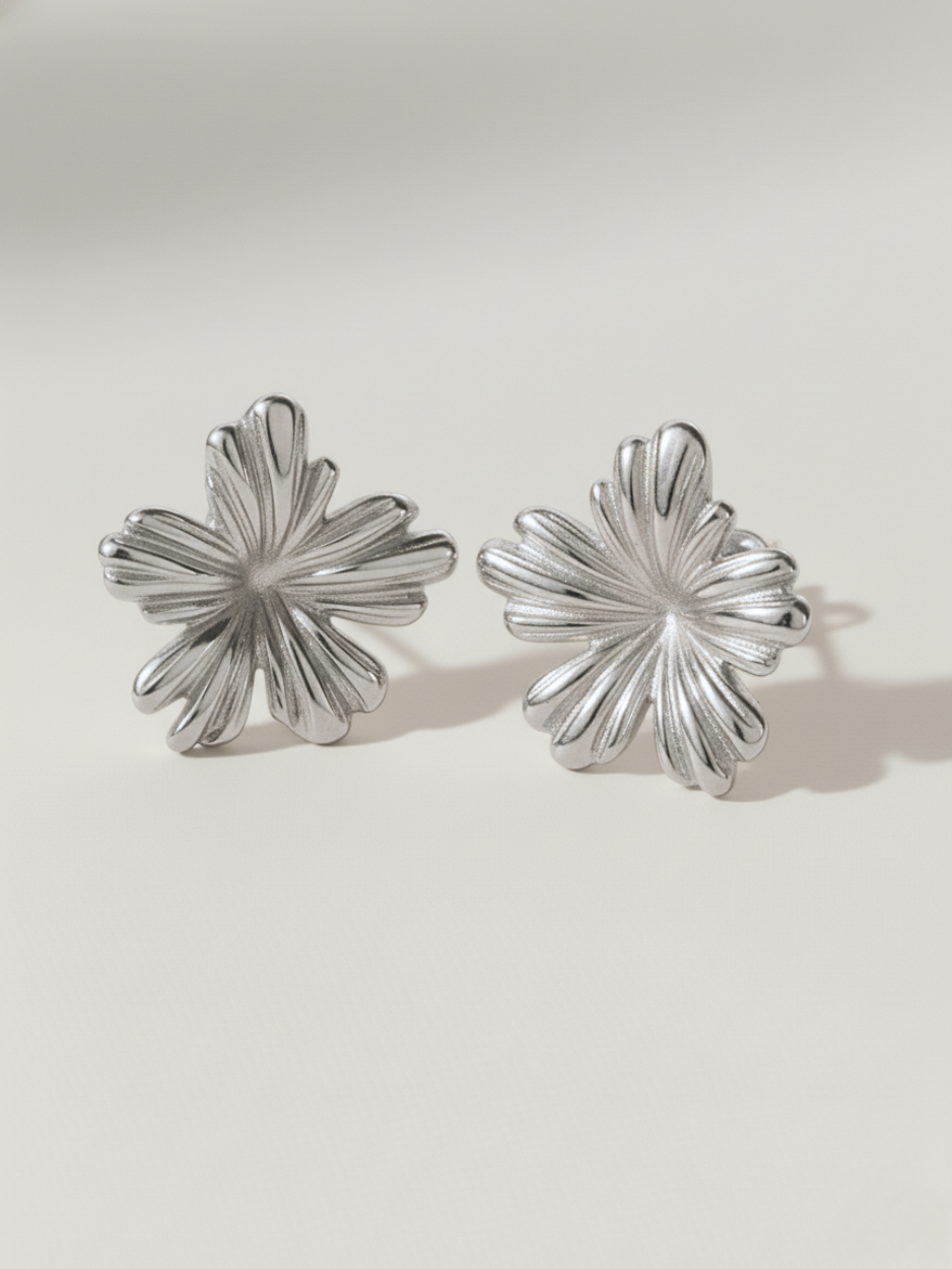 זוג עגילי זואי כסף