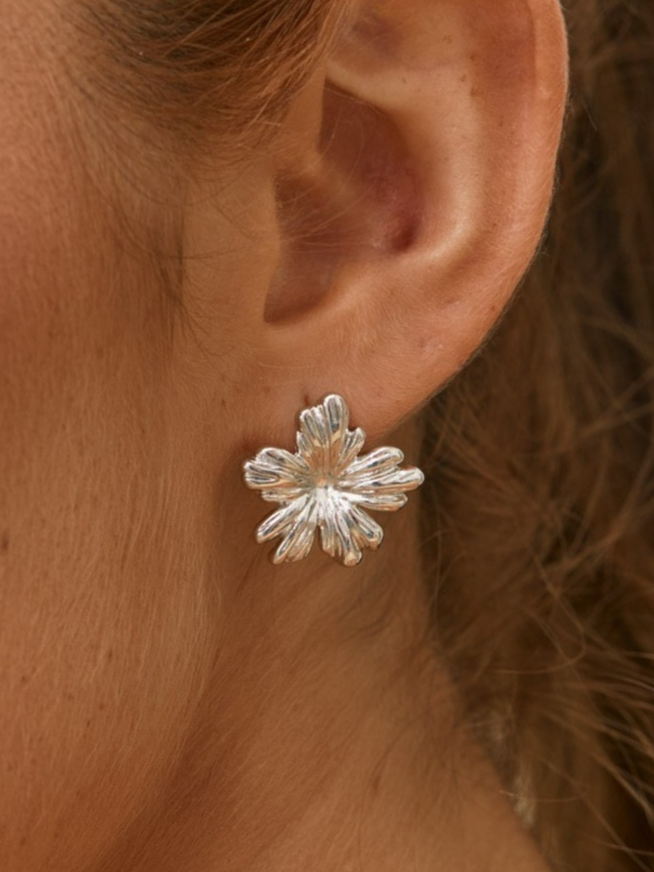 זוג עגילי זואי כסף