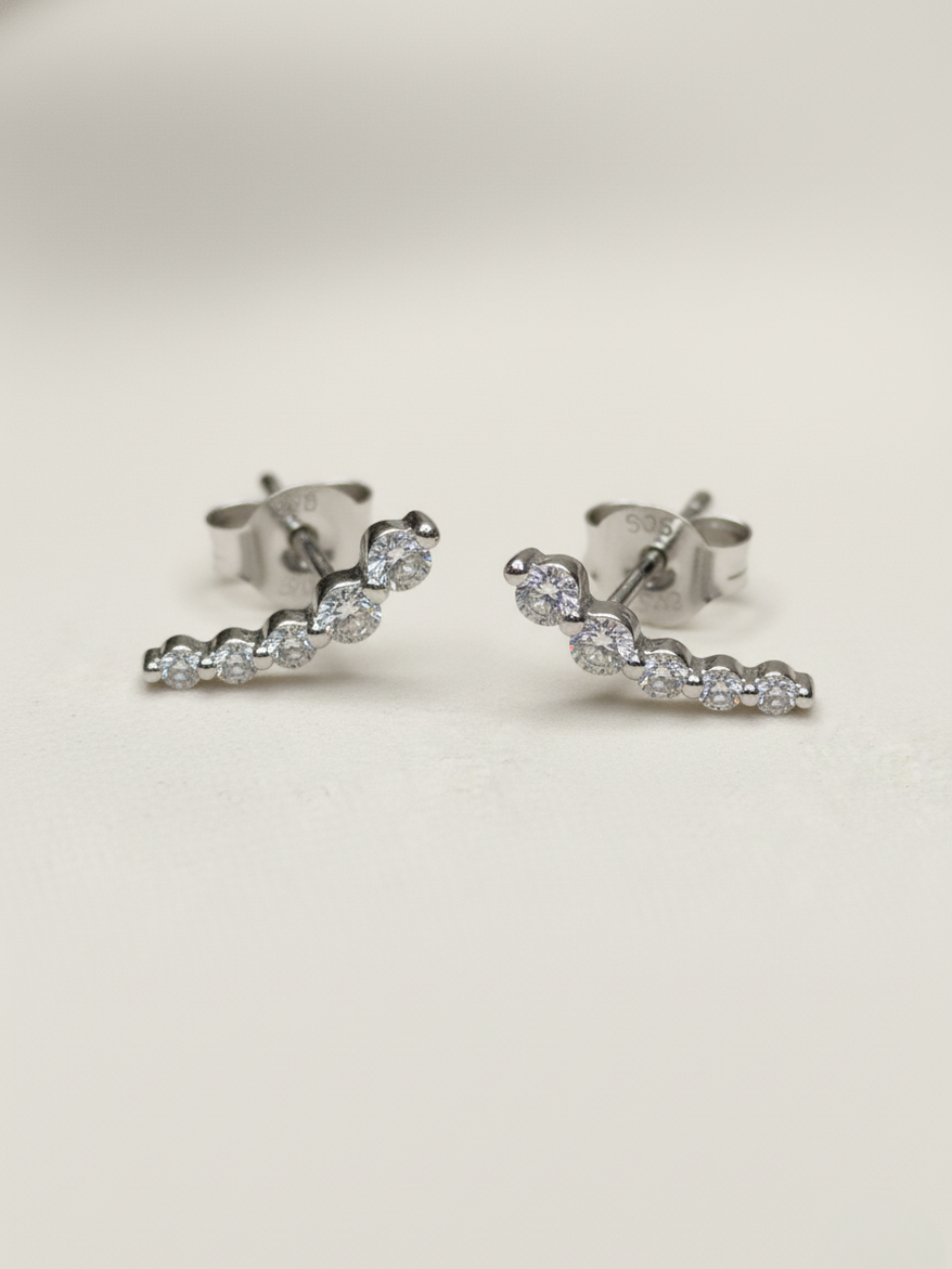 זוג עגילי היילי כסף 925