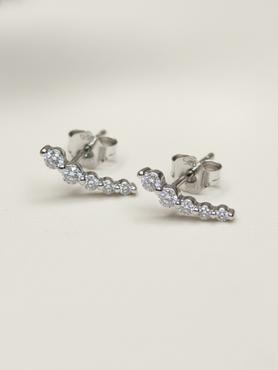 זוג עגילי היילי כסף 925