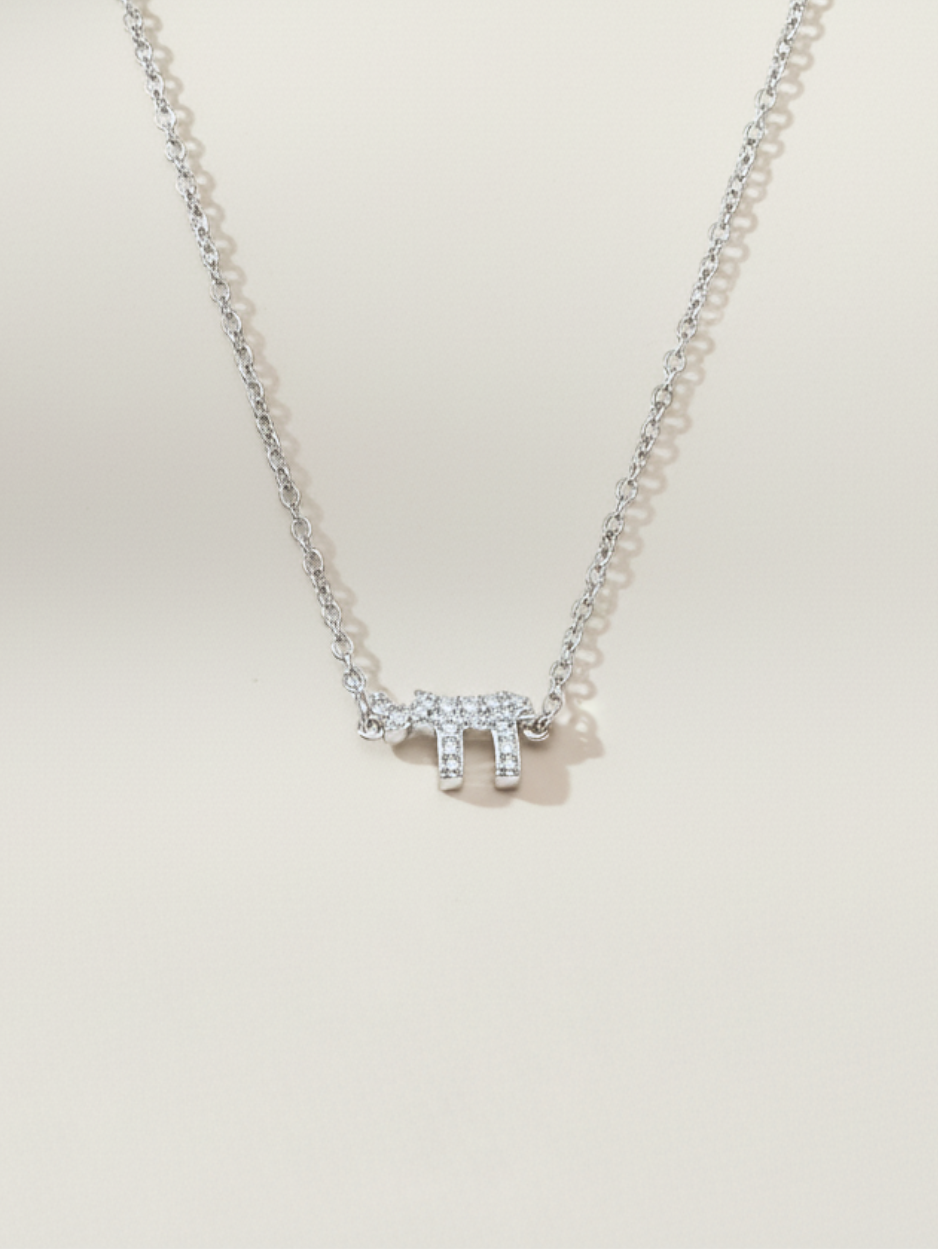 שרשרת חי כסף 925