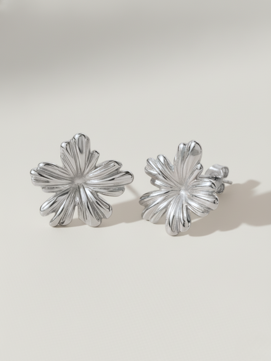 זוג עגילי זואי כסף