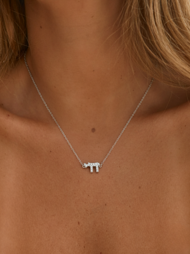 שרשרת חי כסף 925