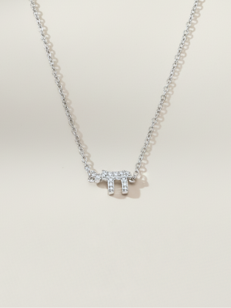 שרשרת חי כסף 925