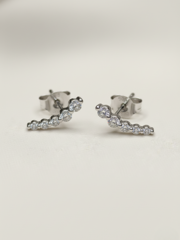 זוג עגילי היילי כסף 925 1