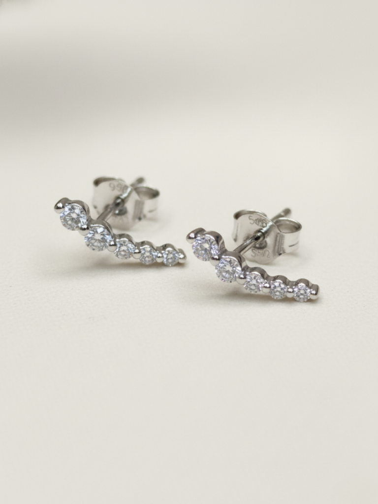 זוג עגילי היילי כסף 925 2