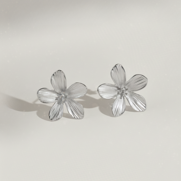 זוג עגילי איזבל כסף