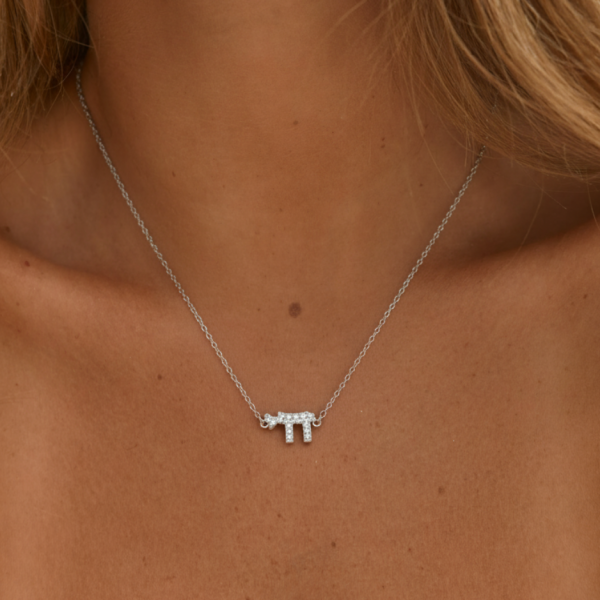 שרשרת חי כסף 925