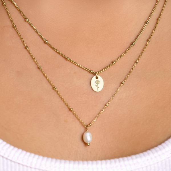 שרשרת ניקול