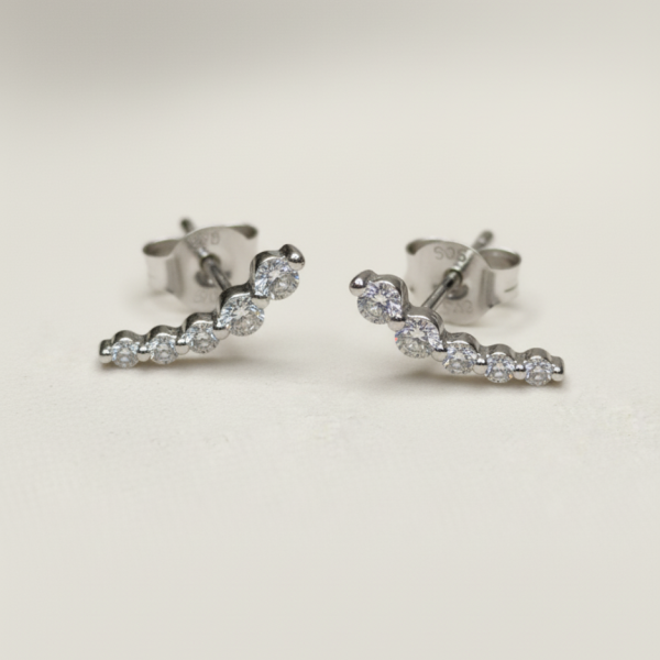 זוג עגילי היילי כסף 925 1