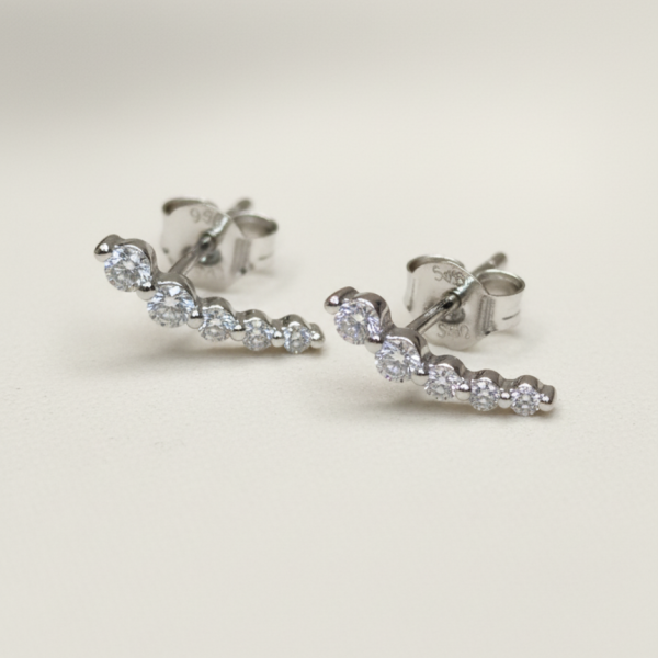 זוג עגילי היילי כסף 925 2